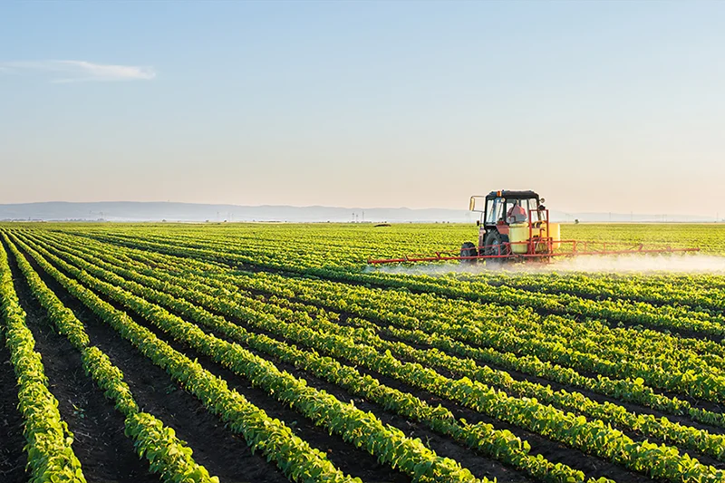 Landwirtschaft